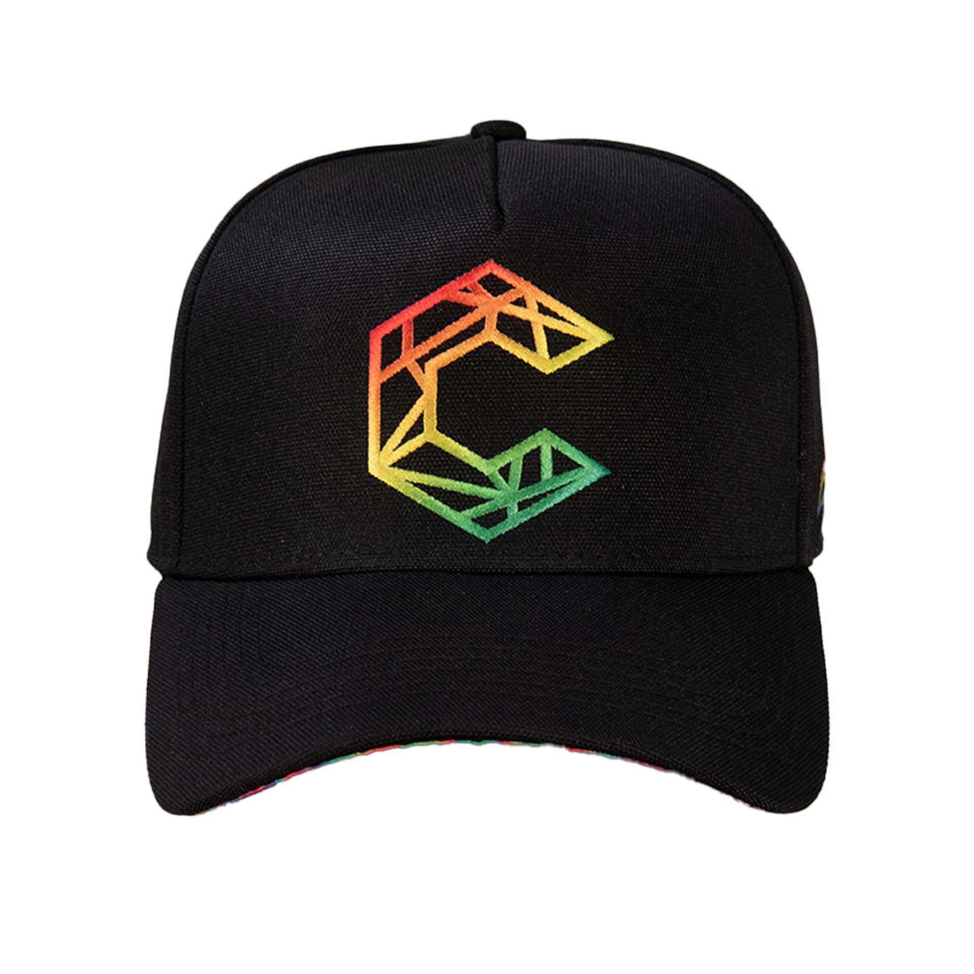 Psytech Curve Brim Snap Back Hat