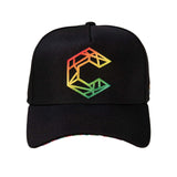 Psytech Curve Brim Snap Back Hat