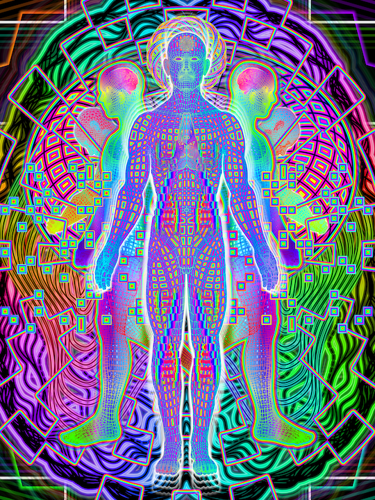 Simulation