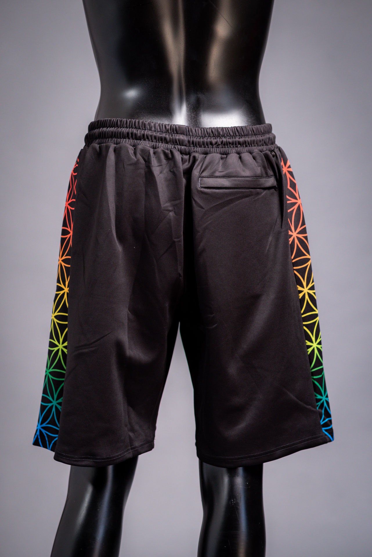 Colorimetry Shorts