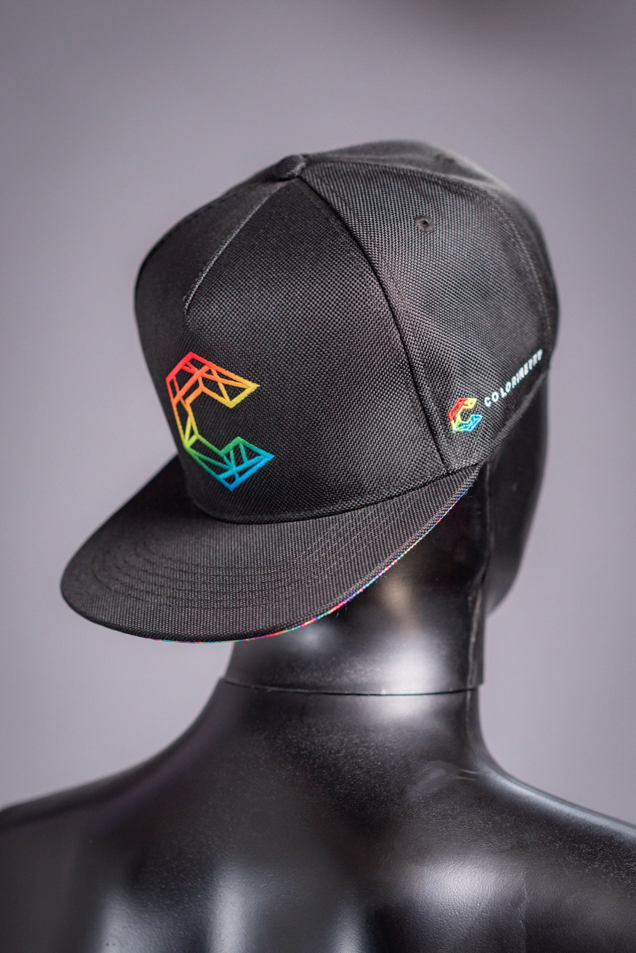 Colorimetry Snapback | The Steve
