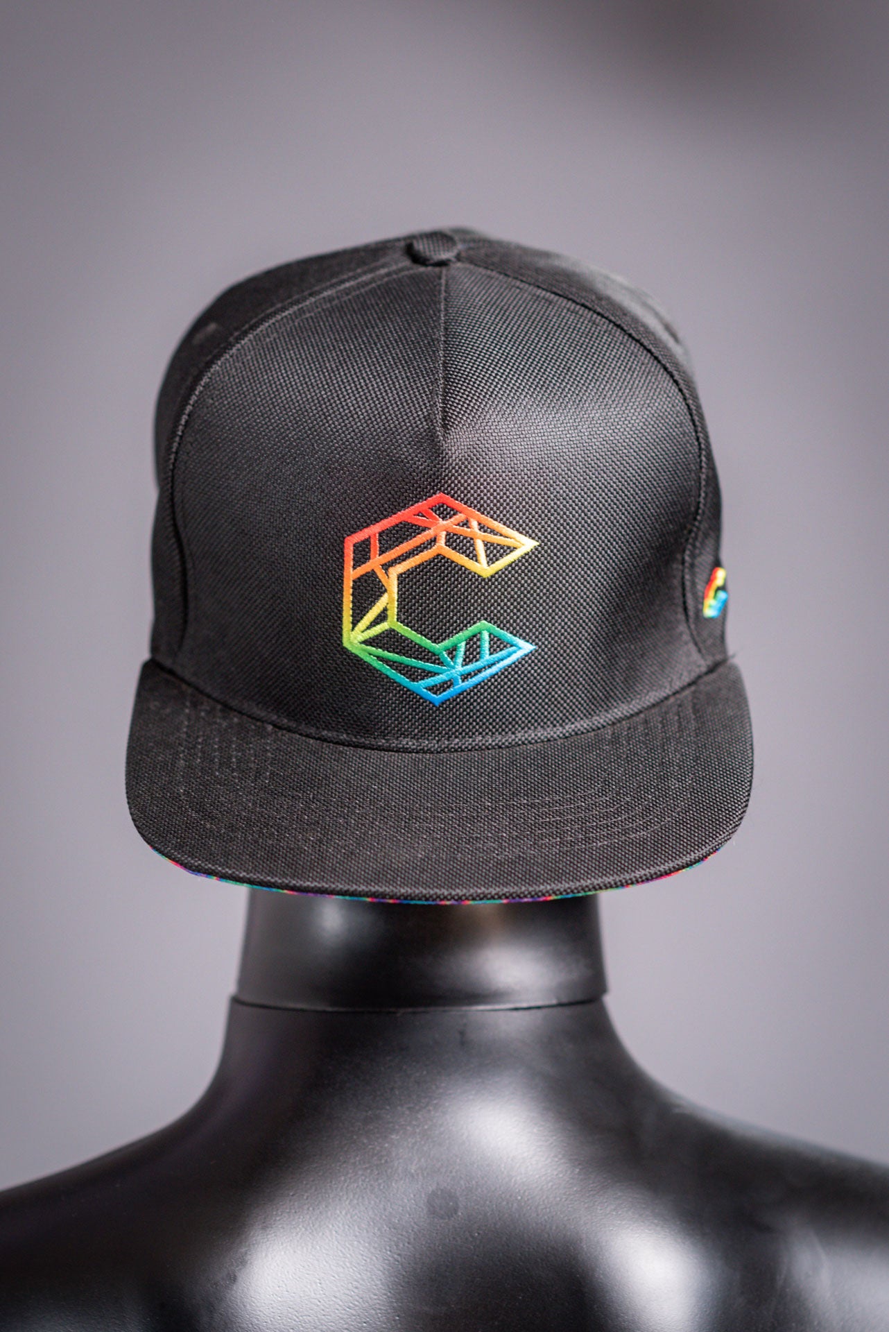 Colorimetry Snapback | The Steve