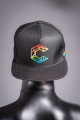 Colorimetry Snapback | The Steve