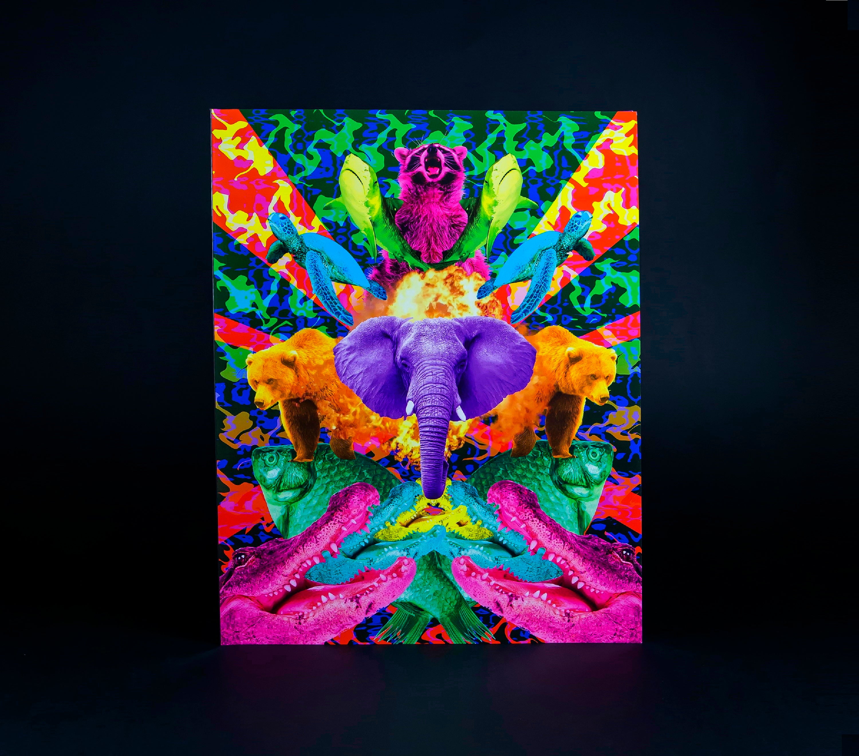Visuals Illustration Book